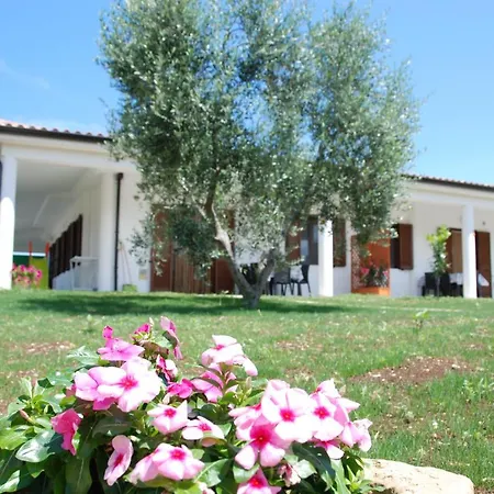 Semesterbostad Brezza D'estate *